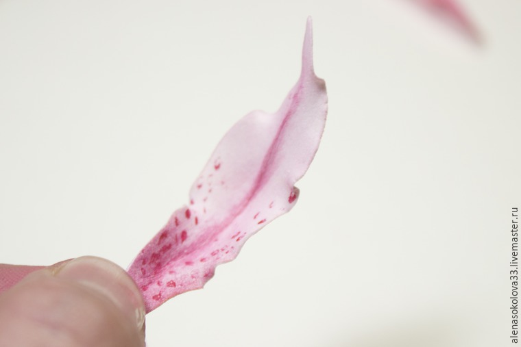 мк фоамиран мк фоамиран