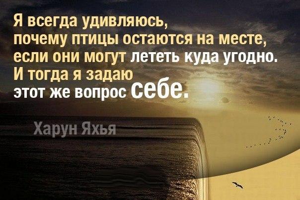Все Сам - сайт о самодельщиках и самоделках Бесплатные игры Белка и Стрелка онлайн