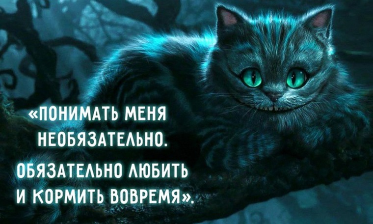 Цитата про чеширского кота Цитата про чеширского кота