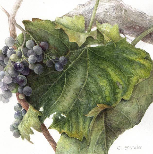 акварельная живопись акварельная живопись