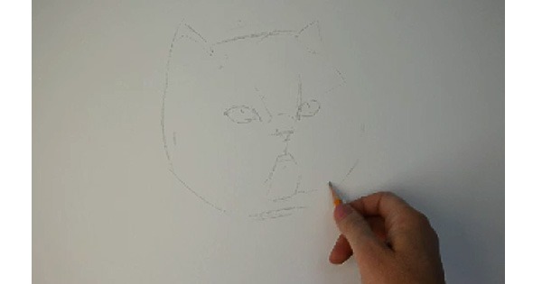 нарисовать кота, ак нарисовать котенка
