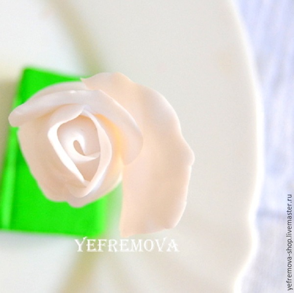 yefremova