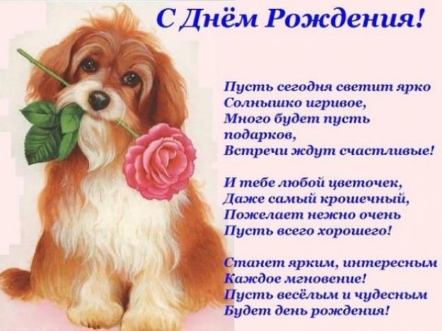 Поздравления римме на день рождения прикольные Поздравления римме на день рождения прикольные