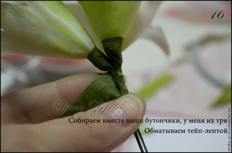 Зуб на небе как вид аномалии ВитаПортал - Здоровье и Медицина Зарядное со стабилизацией тока Все своими руками