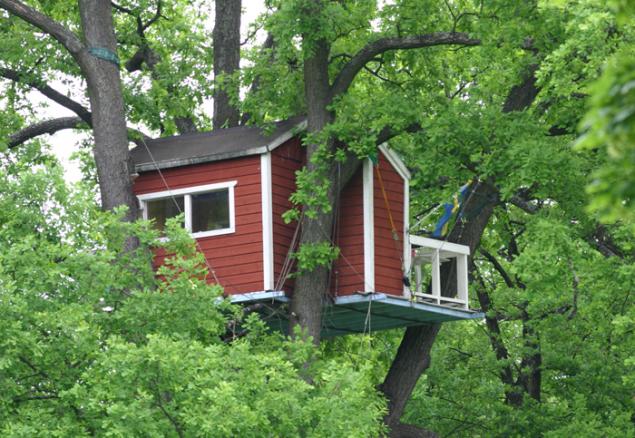 Как сделать маленький дом на дереве Как сделать маленький дом на дереве