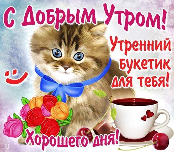 Открытка любимой с добрым утром Открытка любимой с добрым утром