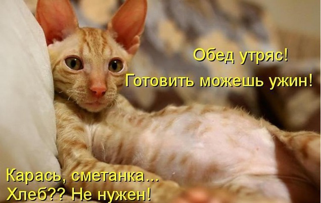 Конкурсы проектных работ - Урок. рф Конкурc исследовательских работ и проектов дошкольников. - Маам. ру
