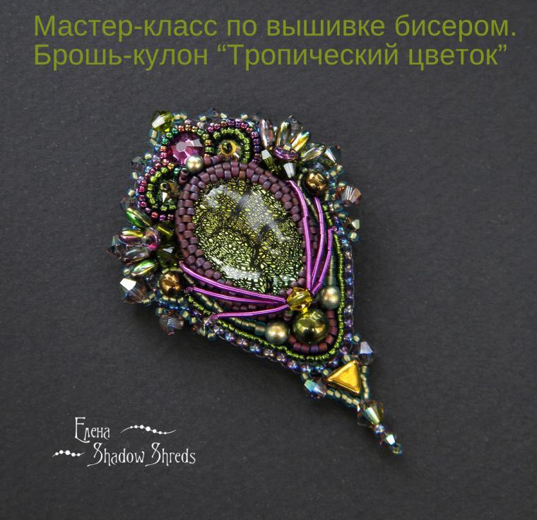 Атеросклероз - лечение народными средствами - Народные Лофант тибетский и анисовый: их полезные свойства и