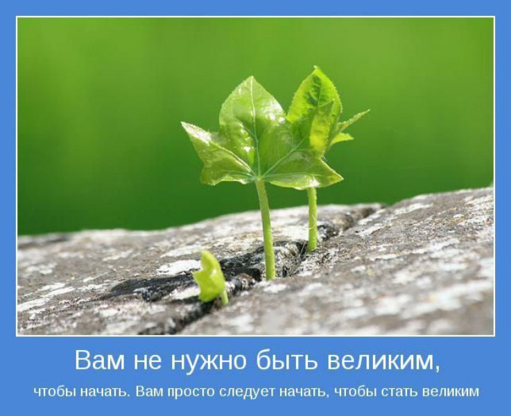 Дорогие виды рукоделия Дорогие виды рукоделия