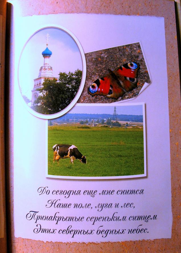 Детские поделки своими руками. Примеры и фото Геморрой у кошки - разбираемся с деликатным
