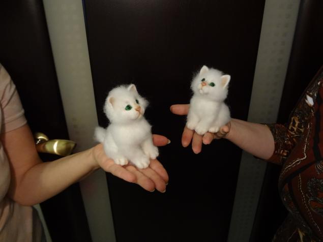 Мк валяния котят Мк валяния котят