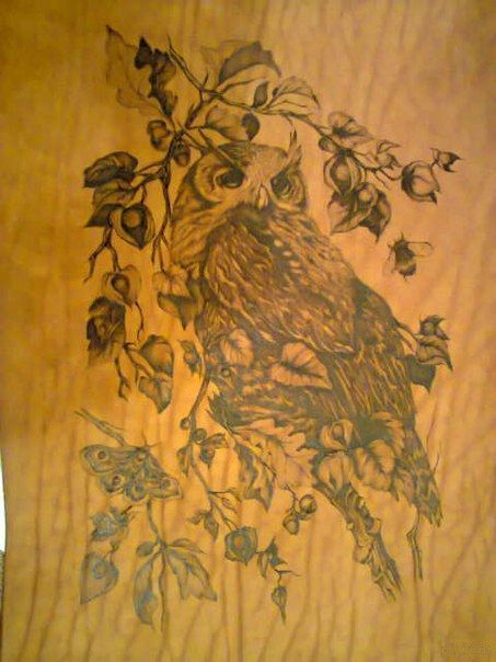 ���� ��� ���������