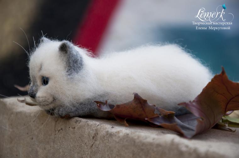 Мк валяния котят Мк валяния котят