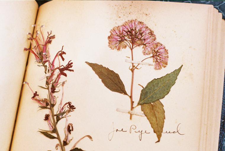 блокнот, дневник, кулинарная книга, блокнот-словарь, состаренная бумага, идеи для творчества блокнот, дневник, кулинарная книга, блокнот-словарь, состаренная бумага, идеи для творчества