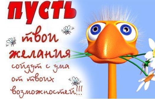 Надпись на воротах НС Интеграция