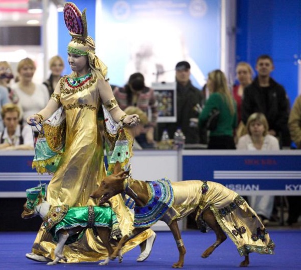 Конкурс костюмов на выставках Конкурс костюмов на выставках