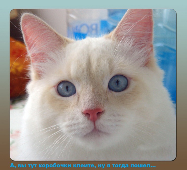 �������� ������ ������