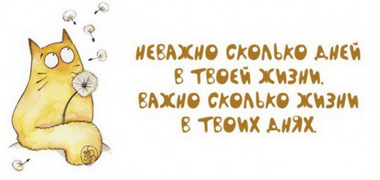 Командировка новые прикольные фото, анекдоты, видео Картинка прически для мужчин - Короткая стрижка пикси: тренд