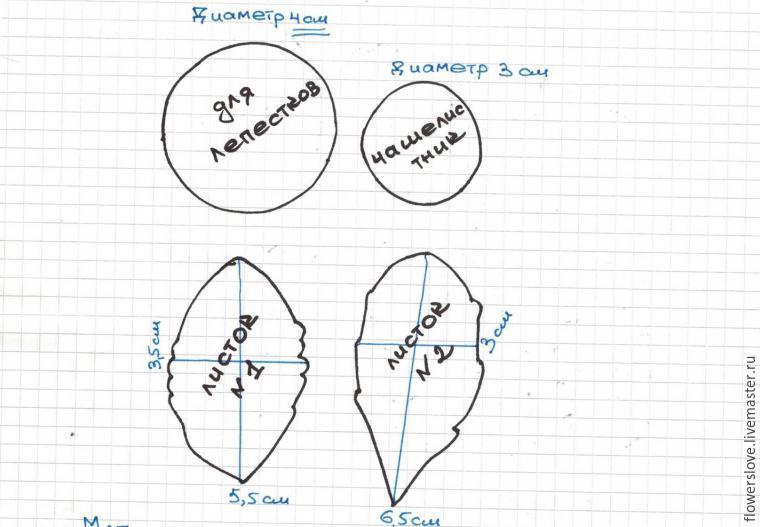 -, -,  ,   ,   , -  ,  ,  ,  ,  , , , , , - , -  , ,  ,   ,  