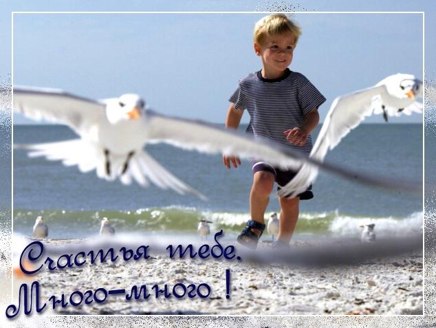 Драже мерц кожа волосы и ногти Драже мерц кожа волосы и ногти