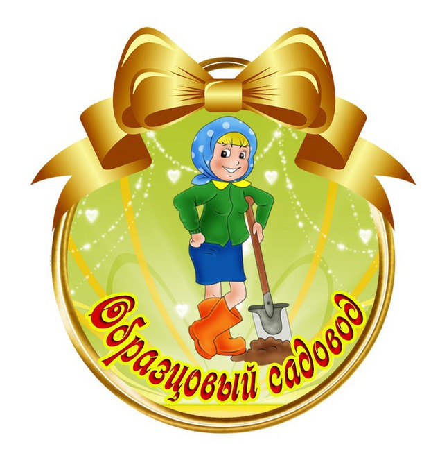 Самая красивая цитата о красивой девушкой Самая красивая цитата о красивой девушкой