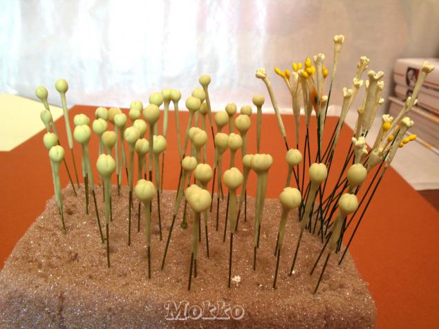 цветы из полимерной глины