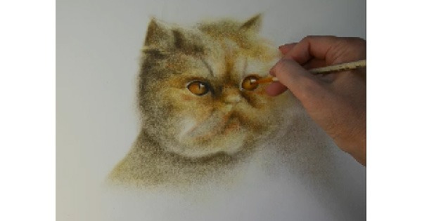 рисунок кота