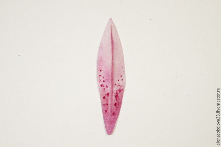 мастер-классы мастер-классы