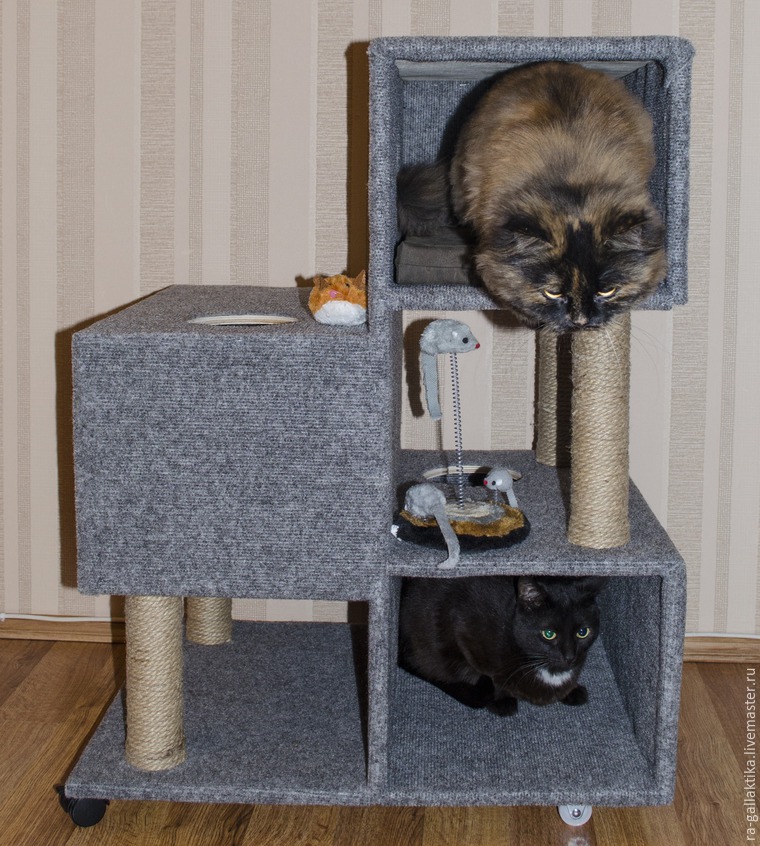 дом для кошек