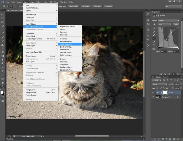 Работа в фотошоп-солнечный кот, фото № 4