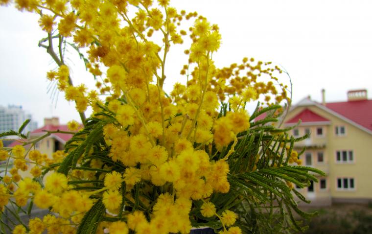 стекло стекло