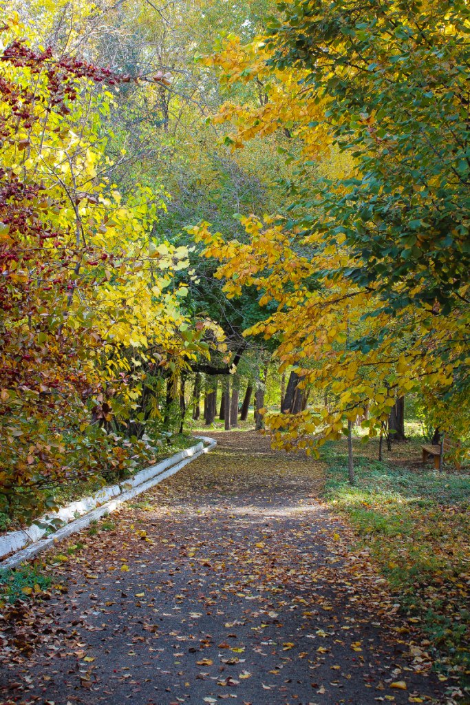 осень осень