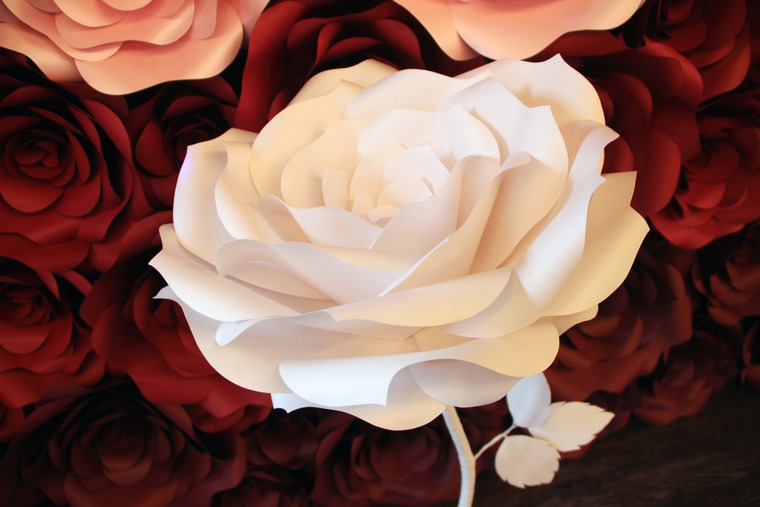 Роза из бумаги своими руками — 120 фото создания самых простых и оригинальных цветов