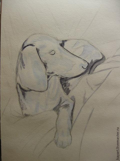 Рисуем черную собаку акварелью, фото № 4