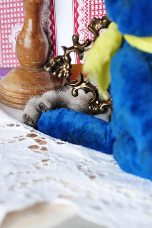 кот кот