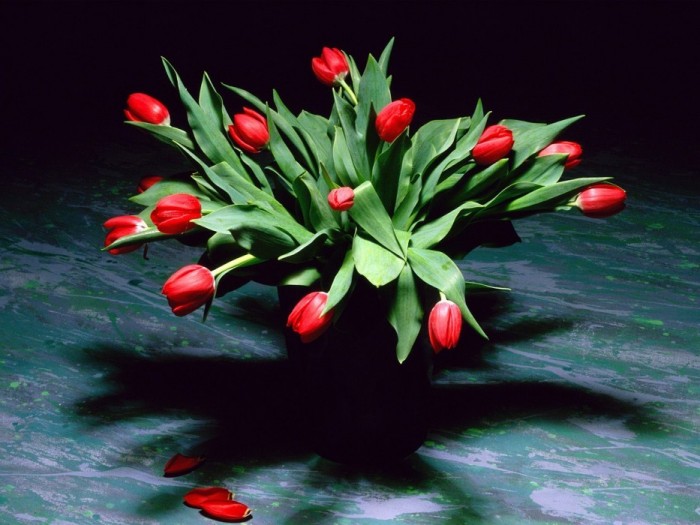 Прекрасные натюрморты с нежными тюльпанами 36 чудесных фоторабот, фото № 4