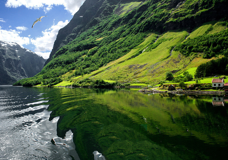Самые красивые фьорды Норвегии, фото № 11