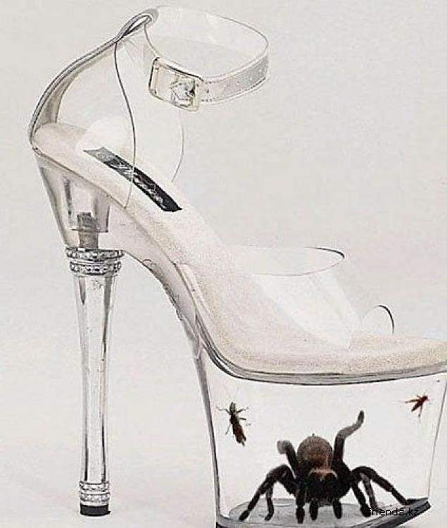 Самая красивая обувь в мире женская