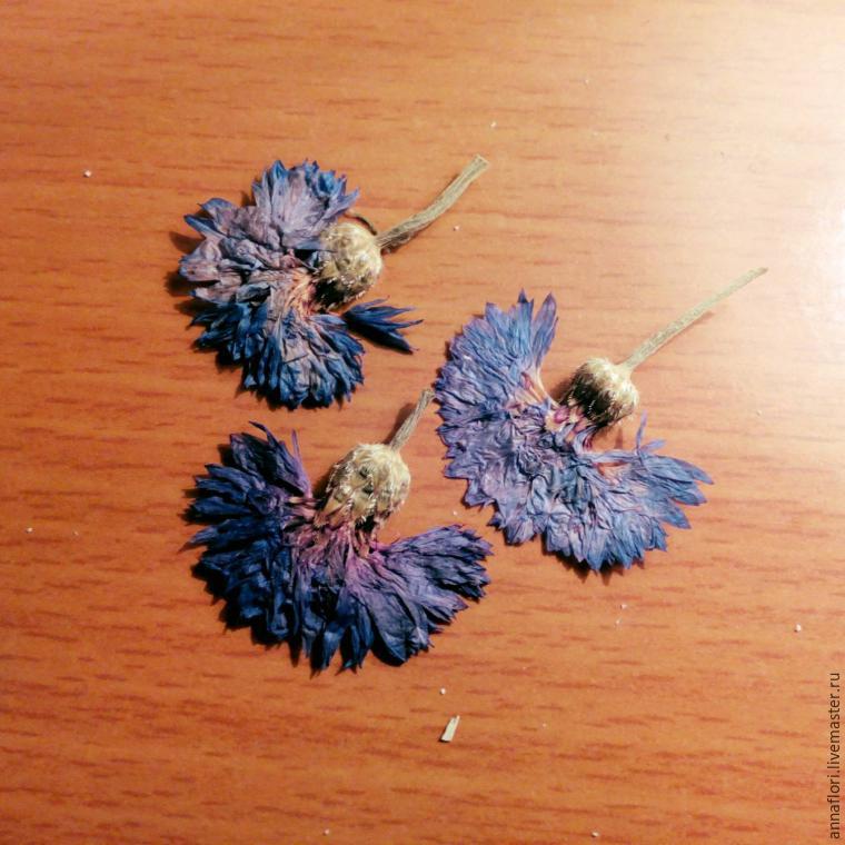 6 způsobů sušení chrpy, foto č. 8