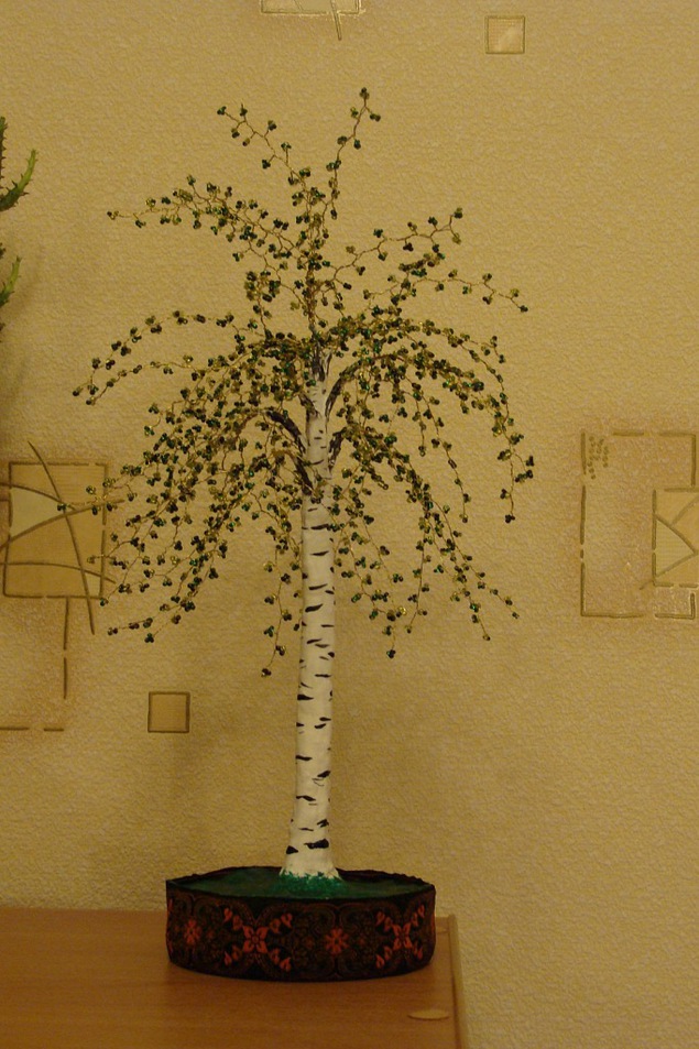 березовая роща томск. сезонное дерево для детского сада. береза гималайская. бисерное дерево береза. сезонное дерево.
