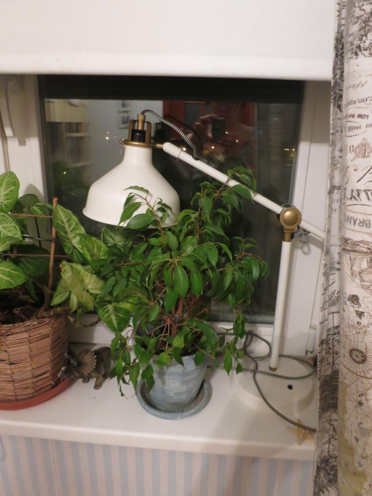 Наша детская 9 м в морском стиле и много идей для мальчиков и девочек 2 часть, фото № 32