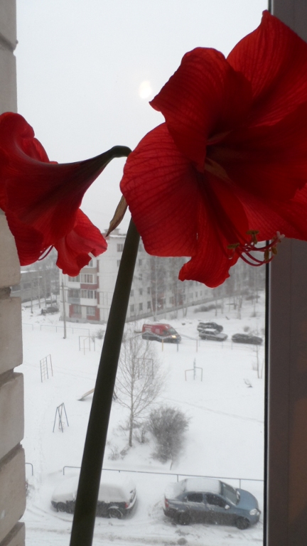 весна весна