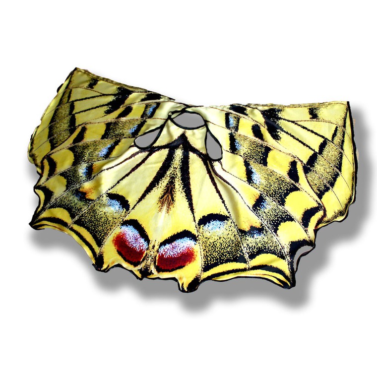 окраска бабочек. крылья бабочки читать. девушка в костюме с бабочкой. красивые крылья бабочки. крылья бабочки читать.