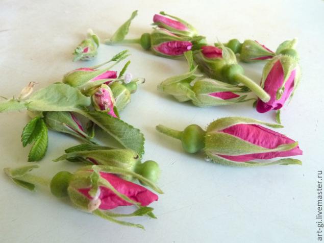 Как высушить тюльпан садовые розы букет