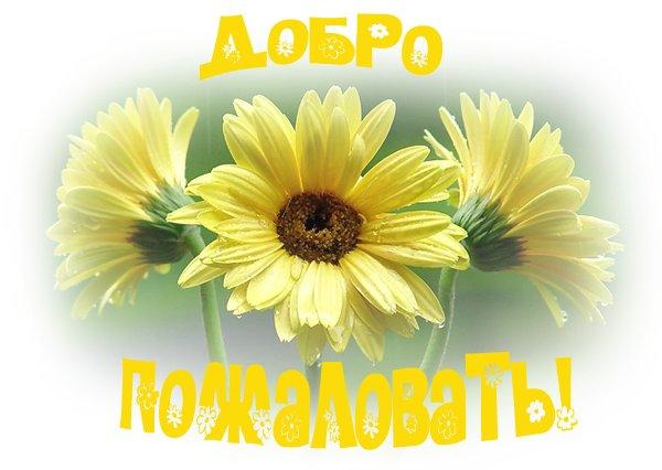 Днюхой чувак, добро пожаловать открытка