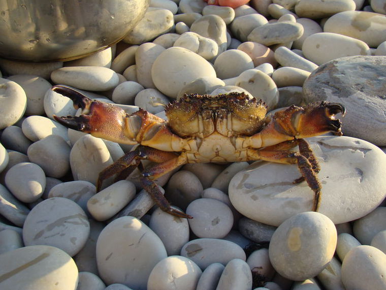 ДИВНОморское путешествие или Как мы стали дикарями .Часть 1, фото № 10