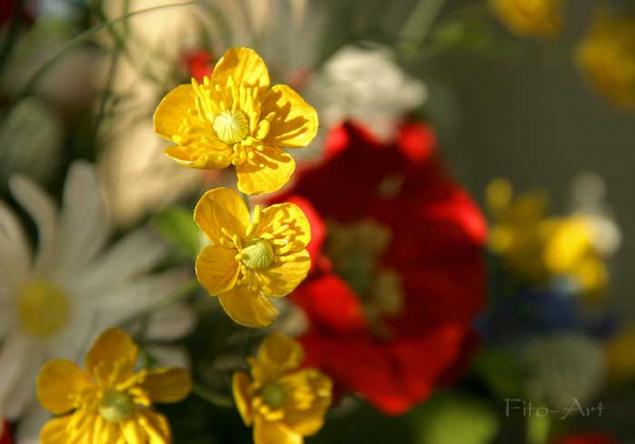 140418131955 140418131955