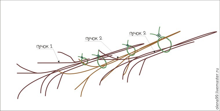 пасхальный кролик пасхальный кролик