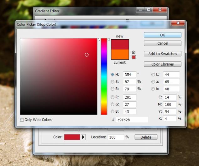 Работа в фотошоп-солнечный кот, фото № 10