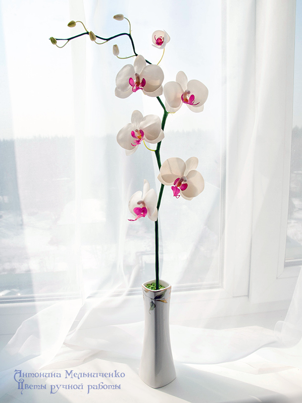 Орхидея фаленопсис из полимерной глины мастер класс